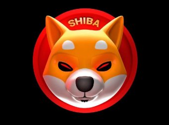 币安网：SHIB宠粉狂欢周，赢取5万美元SHIB奖励！